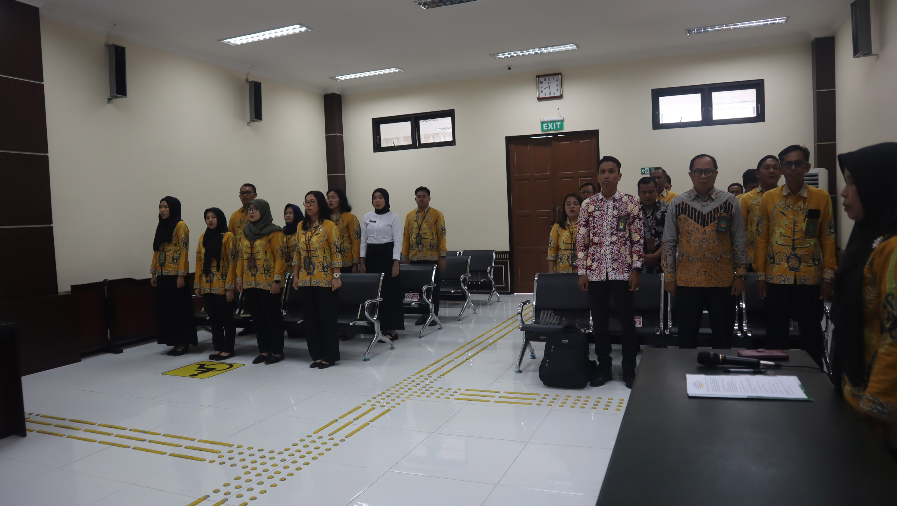 pulpis4